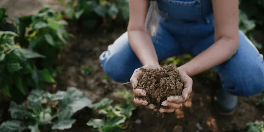 Imagen ilustrativa de Suelos organicos en Oviedo